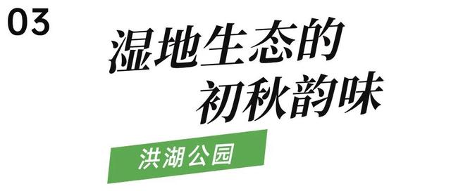 双园秘境在此！赴一场初秋的诗意漫游