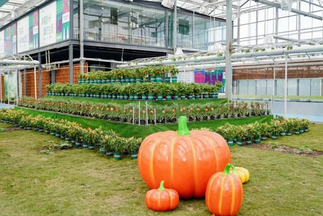 在彭州来一场“蔬式”的乡村漫游，遛娃不费妈，躺平超解压