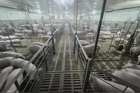 杨凌：循环农场念活“生态经”图片