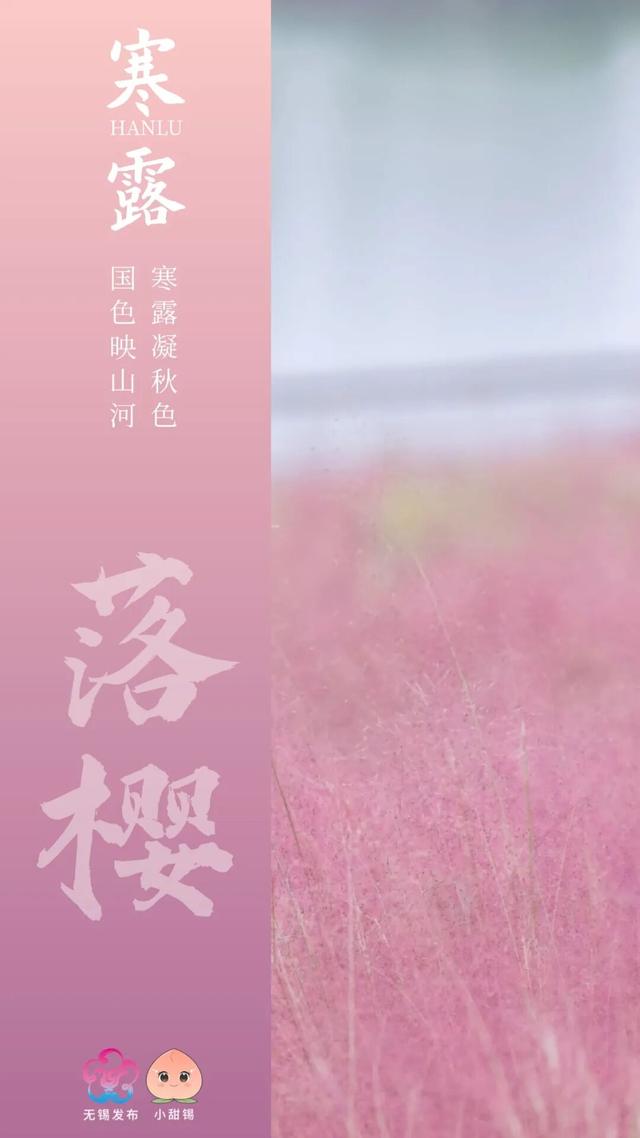 再 致 盐 城