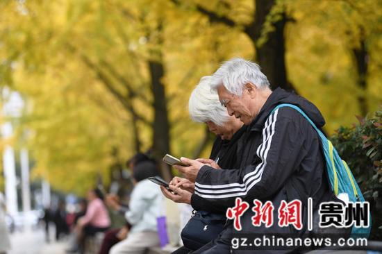 贵阳：初冬时节好风景