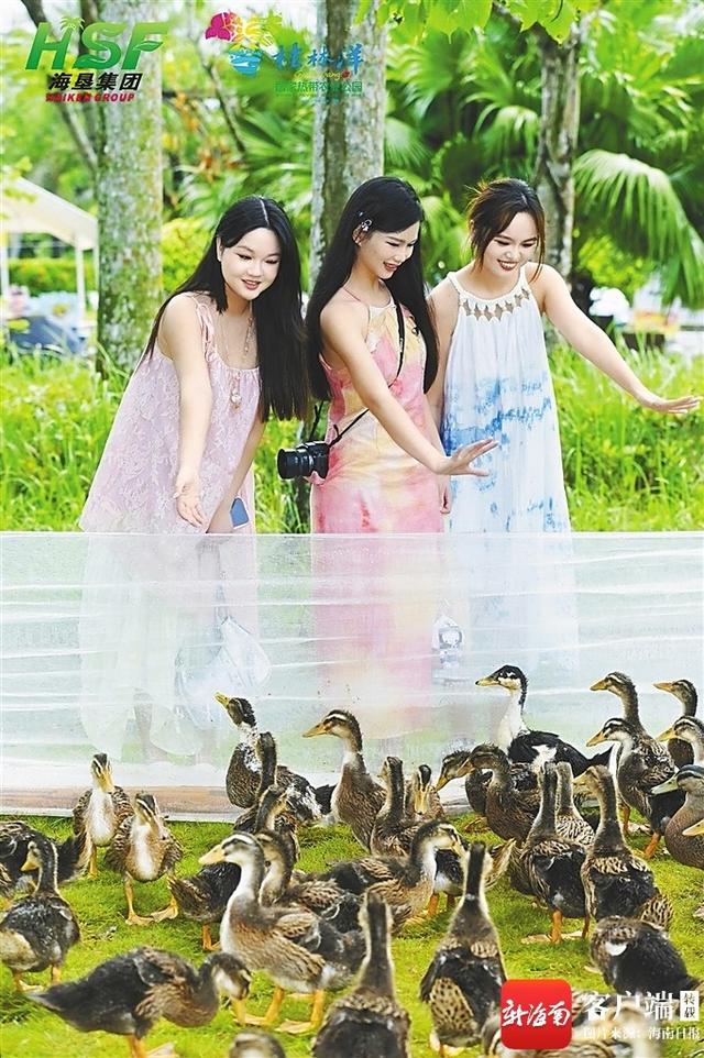 增供给、优业态、创品牌，这个假期，海垦文旅玩出新花样