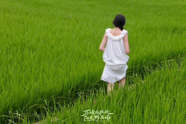 有一种生活叫黔西南｜来黔西南兴义，这份省流懒人版旅行攻略直接抄