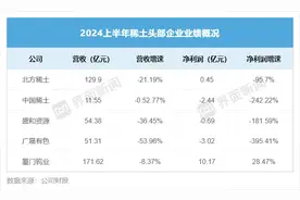 稀土龙头半年业绩集体下滑，只有这家实现增长图片