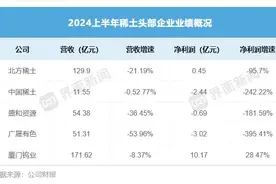 稀土龙头半年业绩集体下滑，只有这家实现增长图片