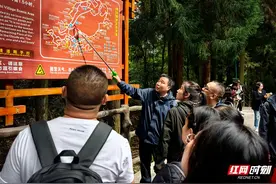 国庆假期 张家界国家森林公园迎来众多外国游客图片