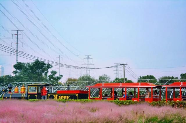 乡村漫游福利！19.9抢千元折扣券，包含银杏湖乐园家庭优惠票