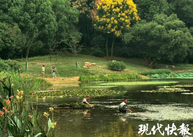 雨歇风轻，江苏这个周末多云为主宜出游