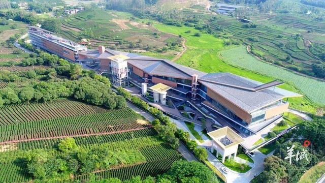 环南昆山-罗浮山引领区218公里最美旅游公路东坡十六乐事驿站全面投入运营！