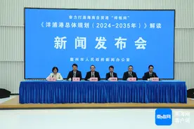 儋州洋浦港：规划形成约146个泊位 打造国际枢纽港图片