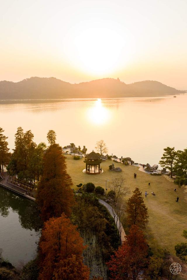 东湖冬日必打卡！观“雪”景、赏秋色、追落日！