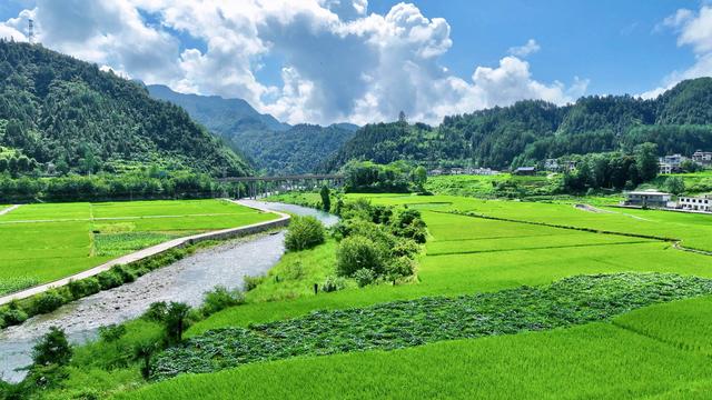 从深山到湾区：东西部协作激活梵净山下的N种可能