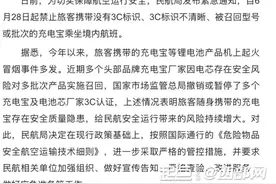 民航充电宝新规落地：3C认证产品成刚需 线上线下市场及时调整图片
