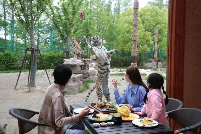 上野大熊猫百日庆邀你免费游园！