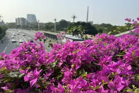 今年第5号台风“玛莉亚”生成，台风难解广东热图片