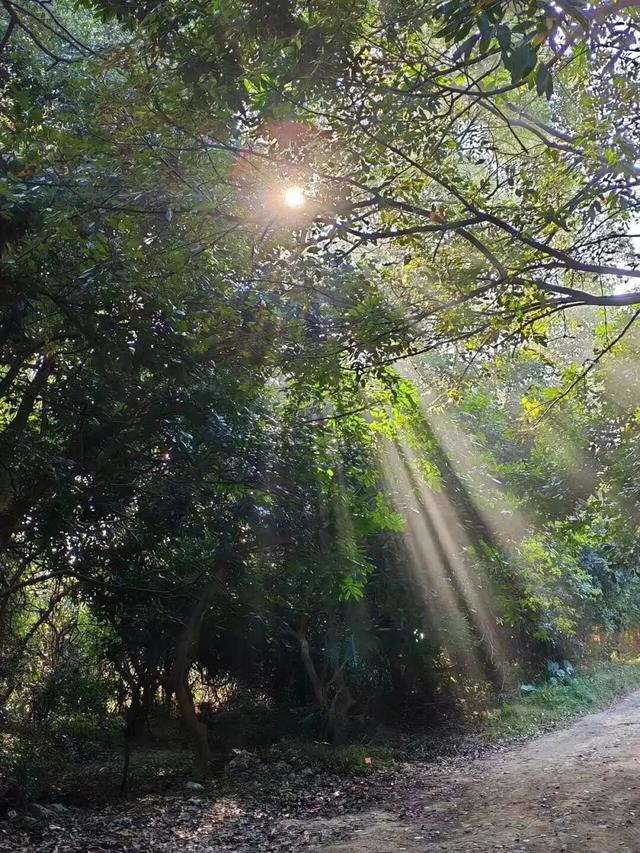 是时候爆火了，这座“天赋异禀”的小山村，来了就想当”新村民”！