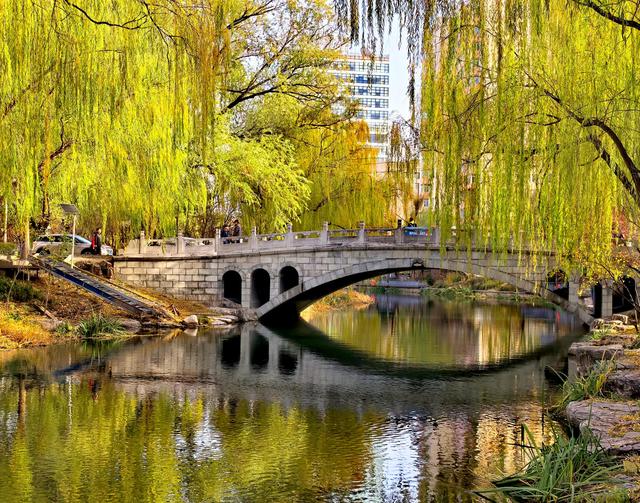 芦苇黄，河水碧，邂逅北京南长河畔的初冬