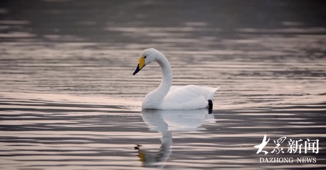 当田野遇上艺术，乡村有了新的打开方式