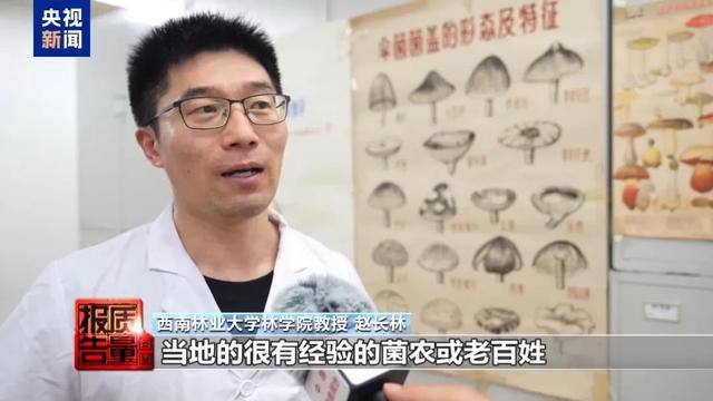 一天超万名游客进山！这个旅游项目爆火，专家警告：一旦破坏就“断子绝孙”了
