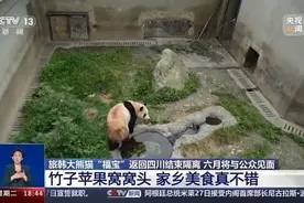 官方回应“福宝”颈项局部出现断毛现象图片