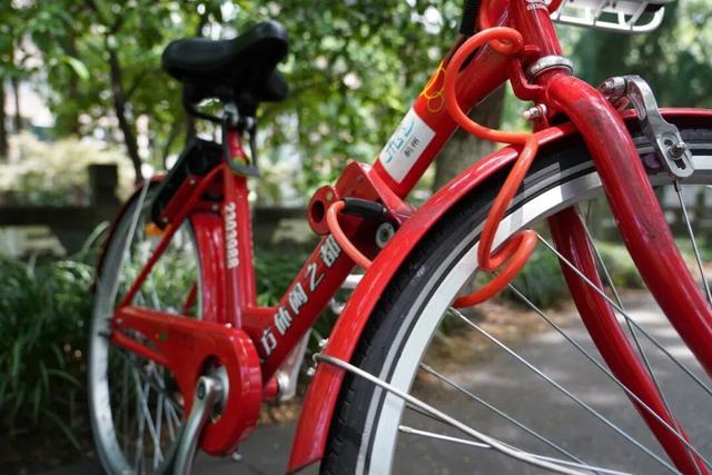 周末灵隐景区太堵？小红车租借量直线上升，这份骑车畅游攻略请收好