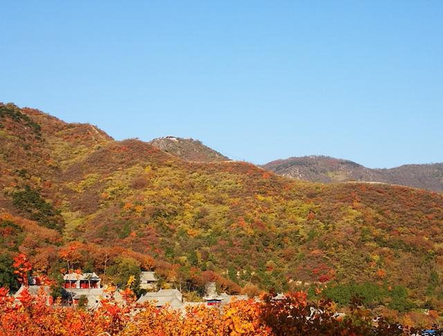 北京发布“公园治愈指南”，我们才发现，金代人早就在西山打卡了