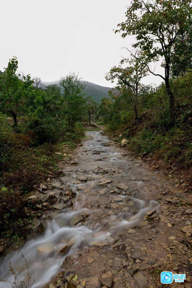 潍坊青州：秋声低语处 乡愁正浓时