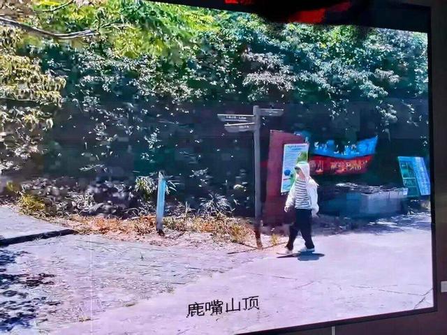 27岁男子深圳登山失联超过一周，多方力量正在搜救！家属悬赏5万元寻人