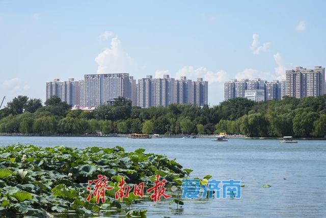 一年四季 泉在济南丨秋游大明湖，画舫入画来