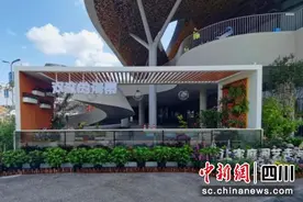 “双流的海蒂”： 让每个家庭拥有自己的花园图片