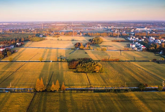 崇明秋色，坠入一场温柔的五彩梦境