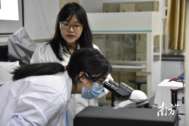 一群县中的孩子，来到广州高校学生物