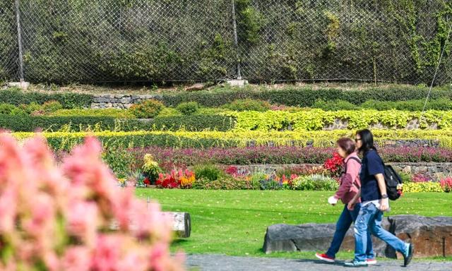 辰山植物园秋意正浓，快去欣赏这份限定秋日画卷