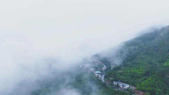 临潼藏了片 “云海仙境”！每一眼都是朦胧的美→