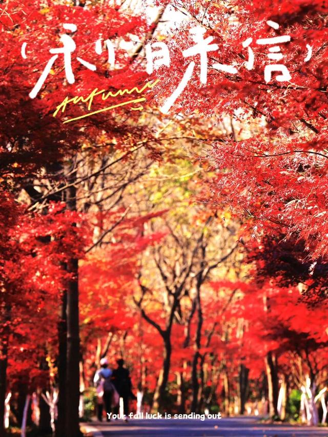 欢迎新同学！！