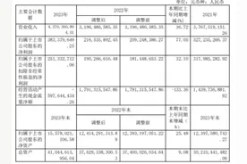 晶科科技2023年营收净利双增长，股价“破发”机构下调目标价图片