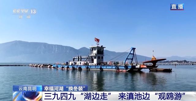 有一种生活叫云南 冬日滇池邀你来一场“观鸥游”