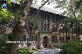 什么是“地层金钉子”？如何用地层了解地球的历史？图片