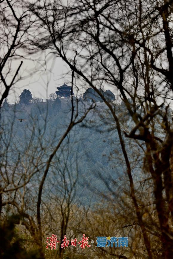 一年四季 泉在济南丨冬日千佛山：山寺凉亭入画来