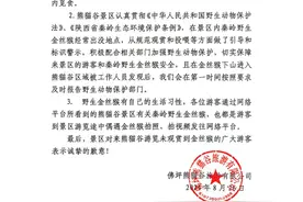 陕西佛坪熊猫谷回应“游客投诉未观赏到野生金丝猴”：野生金丝猴有自己的生活习性图片