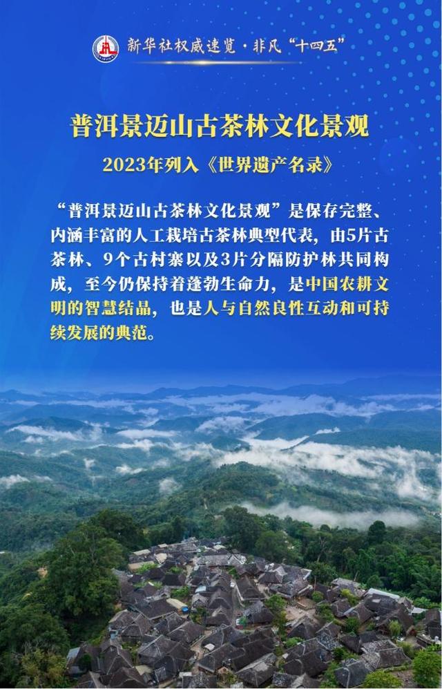 新华社权威速览·非凡“十四五”丨“十四五”时期，这些文化遗产成功申遗