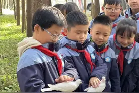 “让候鸟飞”！宝山学生见证野生游隼放飞图片