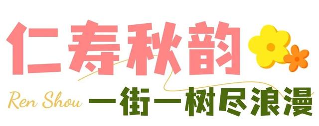 我说“仁寿秋天那么美”，栾树：是的