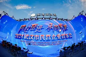 武汉龙媒受邀参加“同心奋进，乐向未来”2024武汉市民营企业音乐会图片