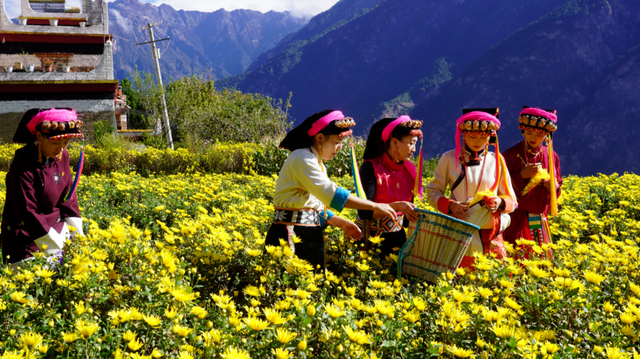 从世界最佳，看丹巴的美学底片