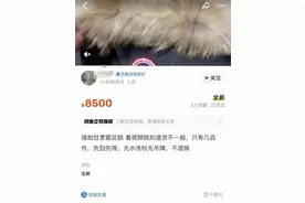 加拿大鹅援助震区羽绒服，竟被指挂闲鱼上倒卖？官方回应：不属实！闲鱼：恶意营销，永久封禁……图片