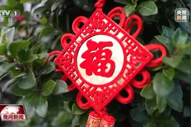 年货清单上的新宠！各地年宵花都有什么新亮点？图片