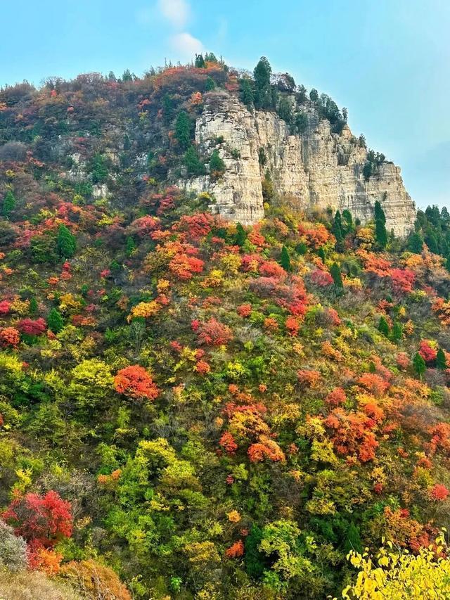 听说周末的石门坊挤爆了？哎，我有一计！