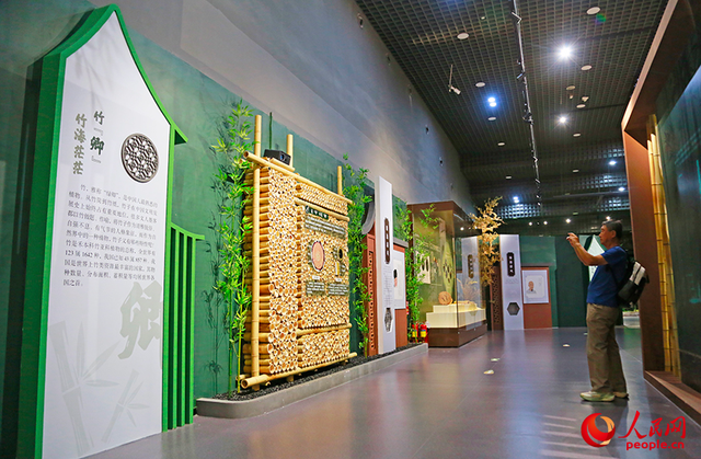 天津自然博物馆推出“清风竹韵 廉润初心”廉洁文化主题展