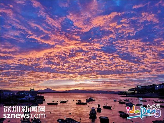蚝干能和花胶煲粥吗 2026年蚝干花生能一起煲粥吗?